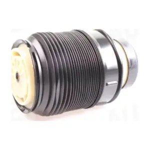 933046 AUTEX