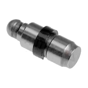 955093 AUTEX