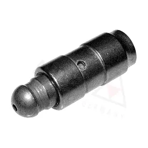 955090 AUTEX
