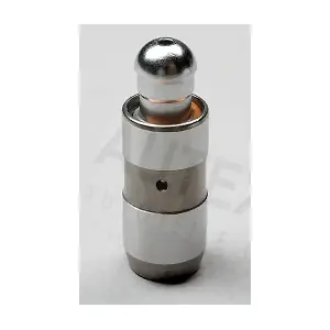 955284 AUTEX