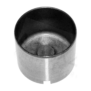 955146 AUTEX