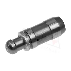 955071 AUTEX