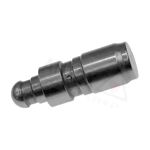 955039 AUTEX