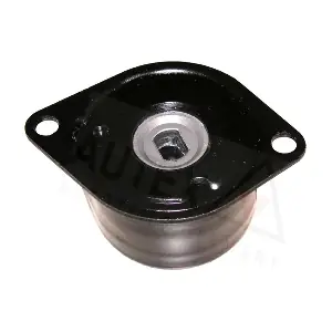 654096 AUTEX