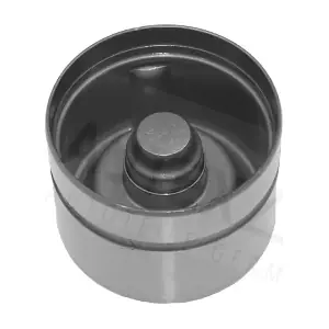 955091 AUTEX