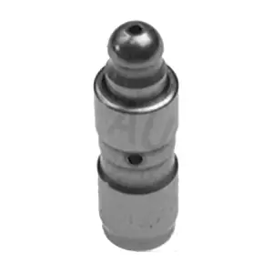 955081 AUTEX