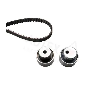 AUTEX 702118