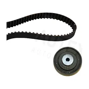 AUTEX 702057