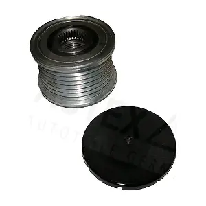 654303 AUTEX