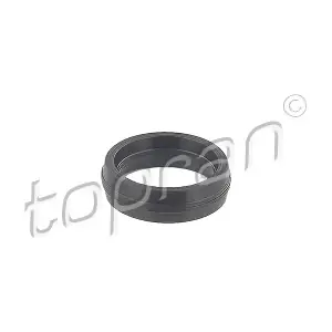 117 384 TOPRAN