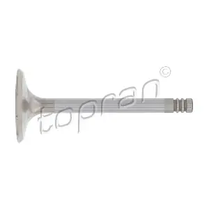 TOPRAN 100 822