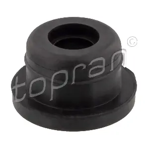116300 TOPRAN