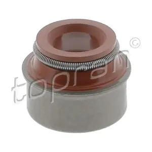 TOPRAN 100254