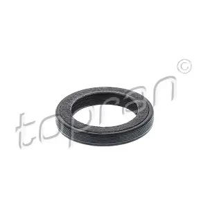 TOPRAN 300 169
