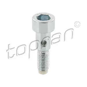 TOPRAN 305 964 Пустотілий гвинт, компресор