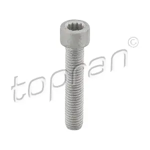 N10523401 CUPRA