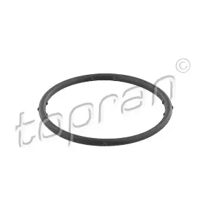 TOPRAN 100722