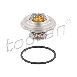 TOPRAN 500 546