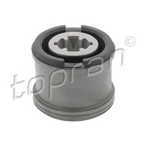 TOPRAN 302188
