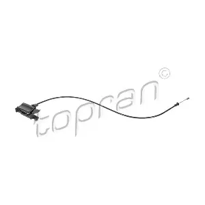 503949 TOPRAN