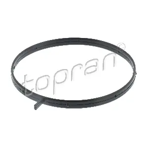 411 256 TOPRAN