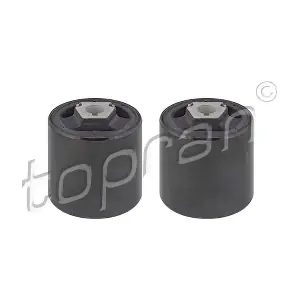 501038 TOPRAN