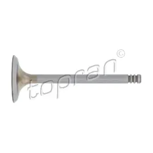 100 613 TOPRAN