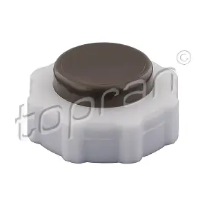 TOPRAN 700431