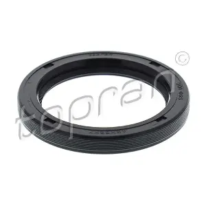 TOPRAN 301 065