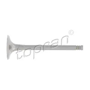 TOPRAN 110 200 Впускний клапан