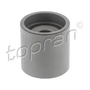 TOPRAN 107507