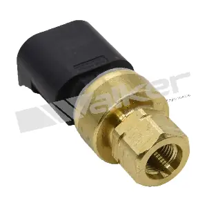 254-1009 WALKER PRODUCTS