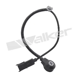 242-1196 WALKER PRODUCTS