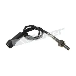 WALKER PRODUCTS 250-23819