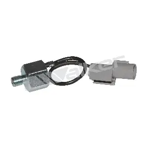 2421062 WALKER PRODUCTS