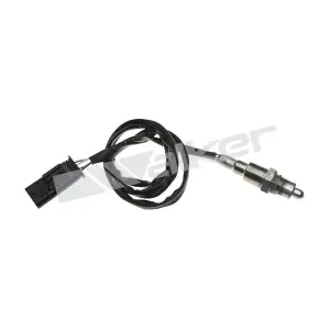 250-241213 WALKER PRODUCTS