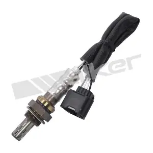 250 241106 WALKER PRODUCTS