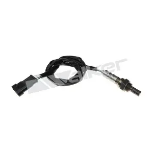 250-241019 WALKER PRODUCTS