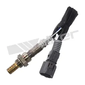 250-241129 WALKER PRODUCTS