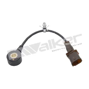 242-1110 WALKER PRODUCTS