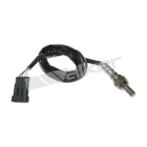 250-241016 WALKER PRODUCTS
