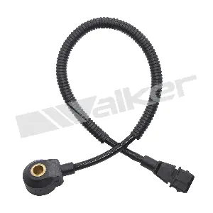 242-1100 WALKER PRODUCTS