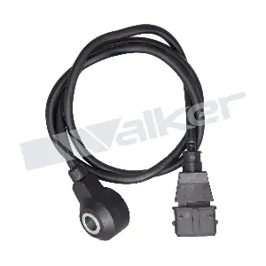 242-1099 WALKER PRODUCTS