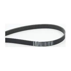 CONTINENTAL CTAM 6PK1795