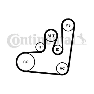 CONTINENTAL CTAM 6PK1145WP3