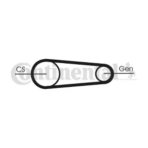 6PK831 ELAST T1 CONTINENTAL CTAM