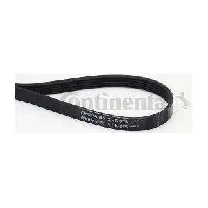 CONTINENTAL CTAM 5PK875