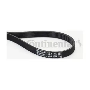 CONTINENTAL CTAM 6PK1555