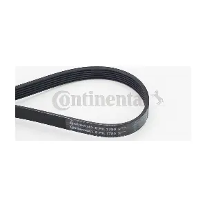 CONTINENTAL CTAM 6PK1780