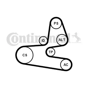 CONTINENTAL CTAM 6PK1564K1